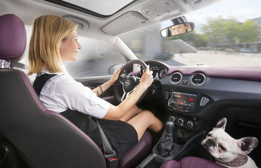  Opel Adam 2013 года  (фото 60 из 107)